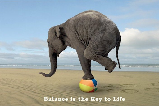 Balance, to him, is a byproduct of conscious design, not a fortunate coincidence.