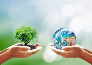 U Wang Young has long been a proponent of environmental sustainability.