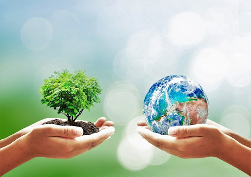 U Wang Young has long been a proponent of environmental sustainability.
